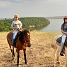 Конная прогулка  #в Йошкар-Оле#. Подарочные сертификаты Ultra Подарки. Купить оригинальный подарок или подарочный сертификат на Конная прогулка  #в Йошкар-Оле#. Сервис UltraPodarki.ru 8-800-505-9530. Катание на лошадях, Прогулка на лошади, Прогулка на лошадях для двоих, Конная прогулка .  Конный клуб, конная прогулка, конная прогулка #в Йошкар-Оле#, 