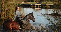 Конная прогулка 