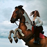 Конная прогулка  #в Йошкар-Оле#. Подарочные сертификаты Ultra Подарки. Купить оригинальный подарок или подарочный сертификат на Конная прогулка  #в Йошкар-Оле#. Сервис UltraPodarki.ru 8-800-505-9530. Катание на лошадях, Прогулка на лошади, Прогулка на лошадях для двоих, Конная прогулка .  Конный клуб, конная прогулка, конная прогулка #в Йошкар-Оле#, 