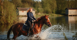 Конная прогулка 