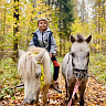 Конная прогулка  #в Йошкар-Оле#. Подарочные сертификаты Ultra Подарки. Купить оригинальный подарок или подарочный сертификат на Конная прогулка  #в Йошкар-Оле#. Сервис UltraPodarki.ru 8-800-505-9530. Катание на лошадях, Прогулка на лошади, Прогулка на лошадях для двоих, Конная прогулка .  Конный клуб, конная прогулка, конная прогулка #в Йошкар-Оле#, 