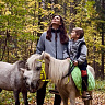 Конная прогулка  #в Йошкар-Оле#. Подарочные сертификаты Ultra Подарки. Купить оригинальный подарок или подарочный сертификат на Конная прогулка  #в Йошкар-Оле#. Сервис UltraPodarki.ru 8-800-505-9530. Катание на лошадях, Прогулка на лошади, Прогулка на лошадях для двоих, Конная прогулка .  Конный клуб, конная прогулка, конная прогулка #в Йошкар-Оле#, 